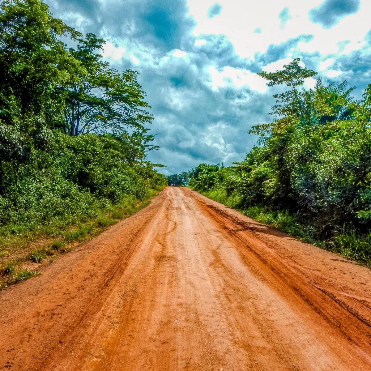 A red dirt road running through the countryside in Liberia
